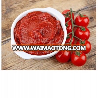 70G-4500G China Hot Sell Canned tomato paste