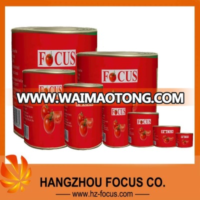 canned tomato paste brix 28-30% to dubai market