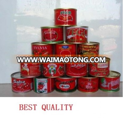 Canned Tomato Paste, Sachet Tomato Paste, Tomato Sauce, Tomato Puree, Tomato Ketchup